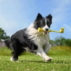 Insta360 Go 3 Fetch Stick -Electronics Shop insta360 go 3 fetch stick5